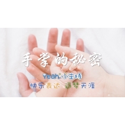 嗨呀小主持|高段《9.手掌的秘密》共11个MP4文件