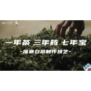 嗨呀小主持｜《寻路非遗》—一年茶，三年茶，七年宝｜中段