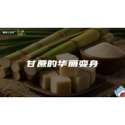 嗨呀小主持｜《跨越山海，文明对话》—甘蔗的华丽变身｜中段
