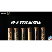 嗨呀小主持｜《跨越山海，文明对话》—种子的文明对话｜中段