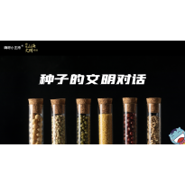嗨呀小主持｜《跨越山海，文明对话》—种子的文明对话｜中段