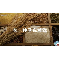 嗨呀小主持｜《跨越山海，文明对话》—看，种子在对话｜幼段
