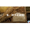 嗨呀小主持｜《跨越山海，文明对话》—看，种子在对话｜幼段