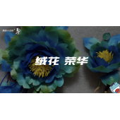 《美在说话2.0》—绒花，荣华｜中段