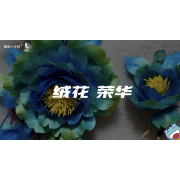 《美在说话2.0》—绒花，荣华｜中段