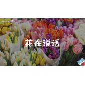 《美在说话番外篇》—信花篇｜幼段