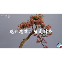 《美在说话番外篇》—信花篇｜高段