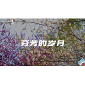 《美在说话番外篇》—信花篇｜中段