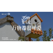 《万物皆可爱》—万物都很可爱｜中段