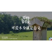 《万物皆可爱》—可爱本身就是意义｜高段