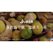 《秋日胜春朝》—我的新学期，像秋天一样｜幼段