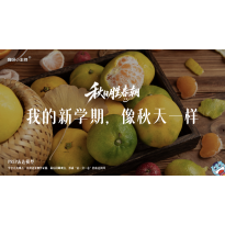 《秋日胜春朝》—我的新学期，像秋天一样｜幼段