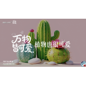 《万物皆可爱》—植物也很可爱｜幼段