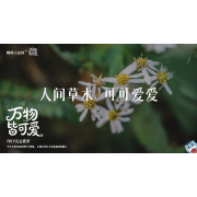 《万物皆可爱》—人间草木  可可爱爱｜高段