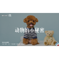 《万物皆可爱》—动物的小秘密｜幼段