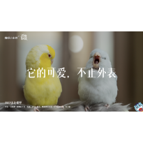 《万物皆可爱》—他的可爱，不知外表｜高段