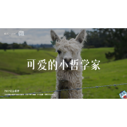 《万物皆可爱》—可爱的小哲学家｜中段