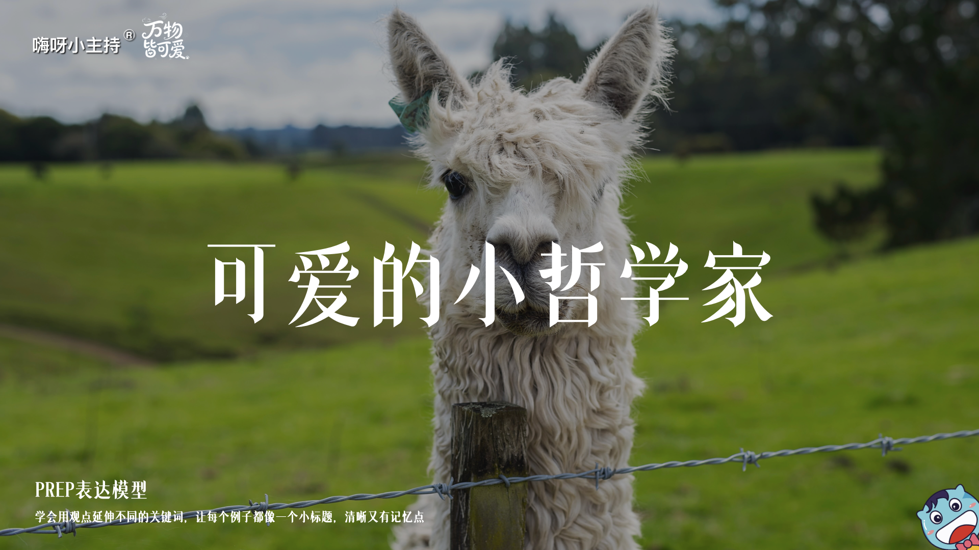 《万物皆可爱》—可爱的小哲学家｜中段