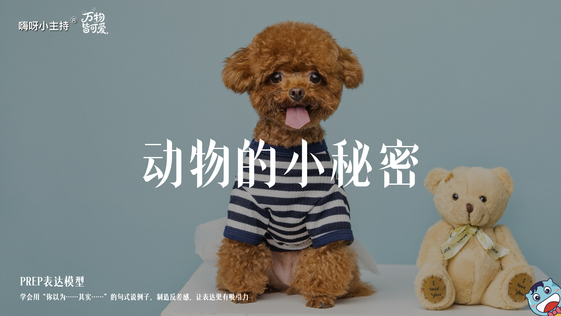 《万物皆可爱》—动物的小秘密｜幼段